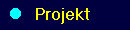 PROJEKT