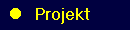 PROJEKT